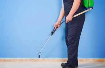 A Autêntica Dedetizadora - Foto 1