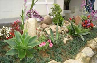 Avilas Gardens Jardinagens e Paisagismo - Foto 1