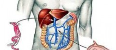 gastroenterologia-sacoma-1436630626