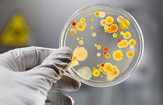 Dra. Elisa Maria Jukemura - Foto 1