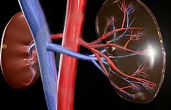 Dr. João Damasio Sottero Simões - Foto 1