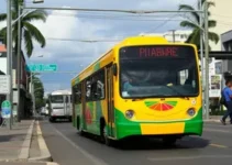 Conceição para Tucuruvi de transporte público