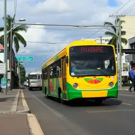Conceição para Tucuruvi de transporte público