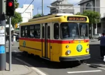 Prefeito Saladino para São Caetano Do Sul de transporte público