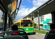 Tucuruvi para Vila Guilherme