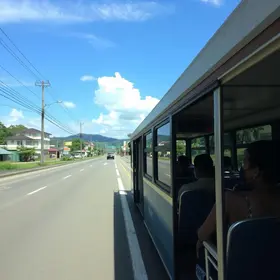 Tamanduateí para Lapa de transporte público
